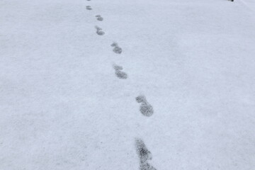 雪の上に残された足跡