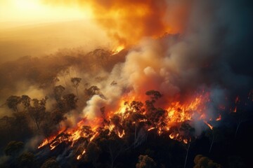 Fototapeta na wymiar Devastating Wildfire Engulfing Forest at Night