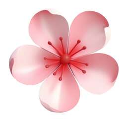 Sakura flower 3d illustration. Cherry blossom flower 3d clipart, decorative element
