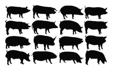 The big set of silhouettes domestic pigs.
