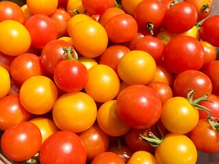 Tomatoes