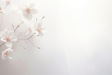 Spring flower abstract pastel pink banner with frame of tender pink flower blossom patterns symbolized beauty, femininity mockup, may, colorful mother's day transparent background with copy space