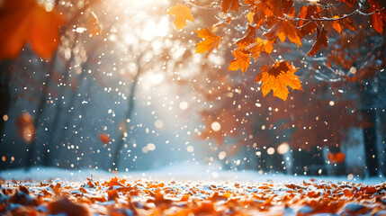maple tree leaves fall on the ground in winter, winter in autumn, the change of seasons from autumn to winter