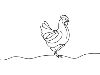 Vector illustration, drawing of a chicken on a white background.