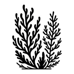 Black and white vector illustration of seaweed.