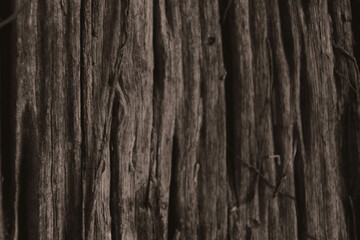 Peaceful lake surrounded by lush green trees under a clear blue sky