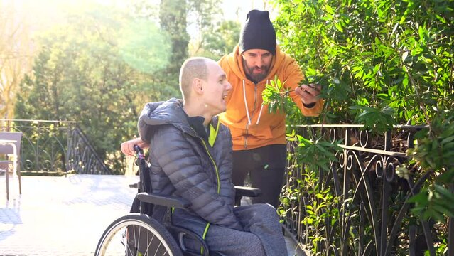 Man pushing the wheelchair of a disabled friend along the path of a park