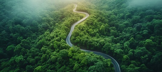 Aerial view of car driving on asphalt road through lush green rainforest with scenic forest backdrop