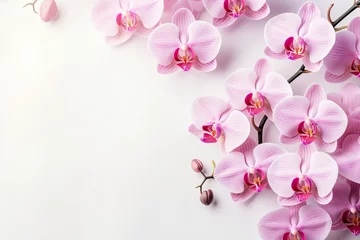 Foto auf Acrylglas Close up of pink phalaenopsis orchids on a pastel background, with selective focus, creating a beautiful floral scene. © The Big L