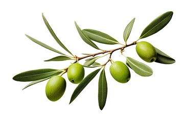 Obraz na płótnie Canvas Isolated green olives with leaves on white background