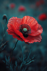 A poppy flower featuring petals with a bizarre mix of bright green and deep red,