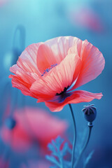 An image of a poppy with petals in a bold combination of red and bright cyan,