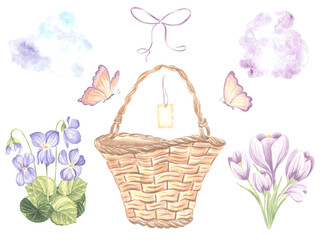 Fototapeta na wymiar Watercolor set of spring flowers and butterflies, basket with bow and tag. Isolated hand drawn illustration wild violet and crocuses. Floral clip art of primrose for postcards, packaging and sticker