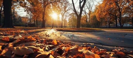 Empty playground roundabout surrounded by fallen autumn leaves in park. Creative Banner. Copyspace image