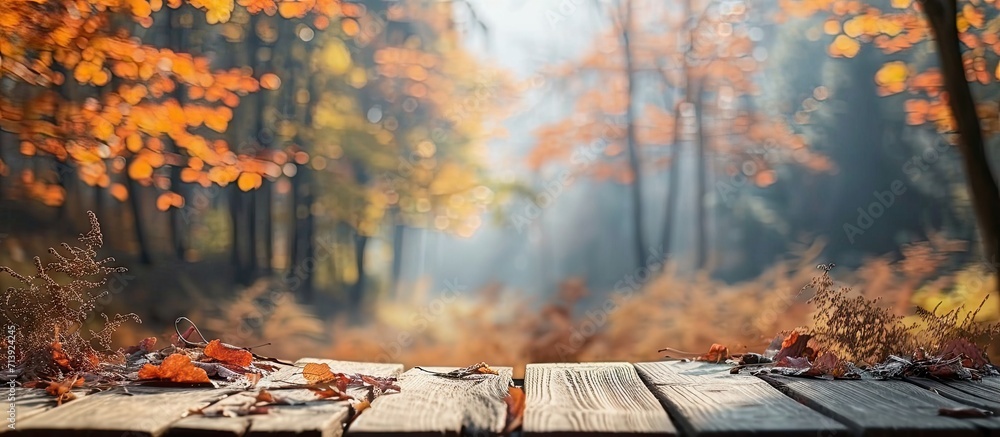 Poster Blurred forest background Empty table podium in the foreground Autumn. Creative Banner. Copyspace image
