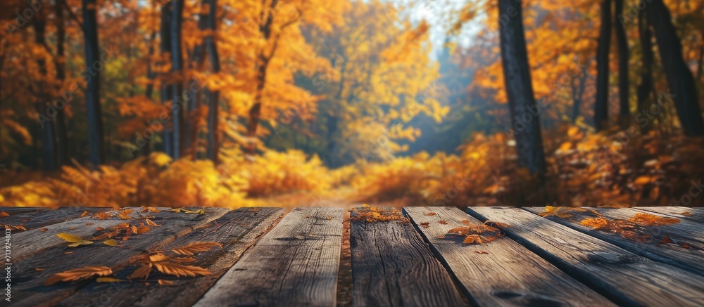 Aufkleber Blurred forest background Empty table podium in the foreground Autumn. Creative Banner. Copyspace image