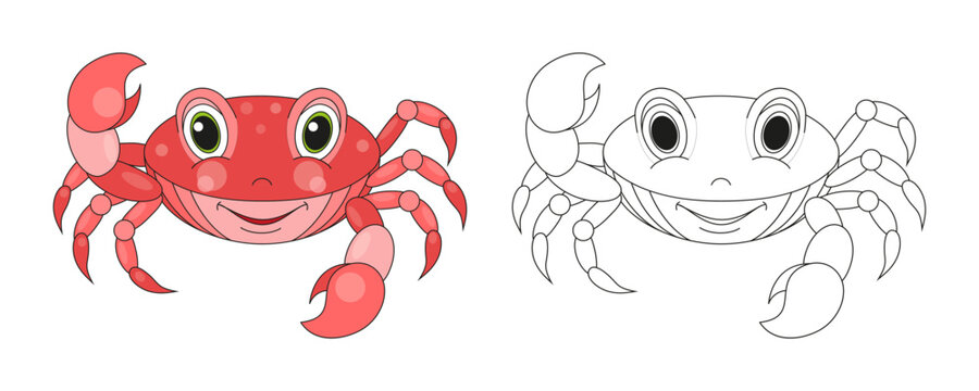Crab line and color illustration. Cartoon vector illustration for coloring book.