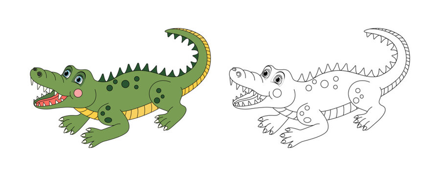 Alligator line and color illustration. Cartoon vector illustration for coloring book.