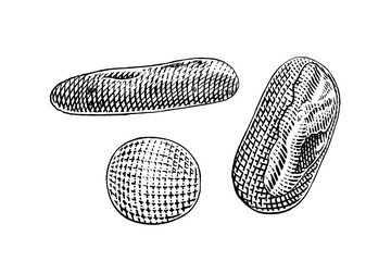 hand drawn vector sketch illustration of fresh bread, bakery, bread.