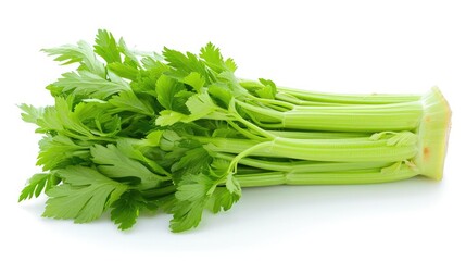Celery on isolated white background.