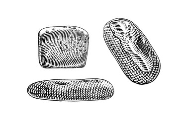 hand drawn vector sketch illustration of fresh bread, bakery, bread.