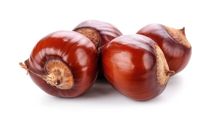 Obraz premium Chestnut on isolated white background.
