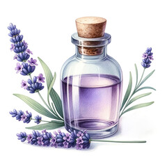 Obraz na płótnie Canvas Lavender Essential Oil in Glass Bottle Illustration 