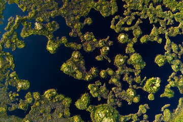 Fototapeta na wymiar An aerial of a summery wetland with bog ponds near Kemijärvi, Northern Finland