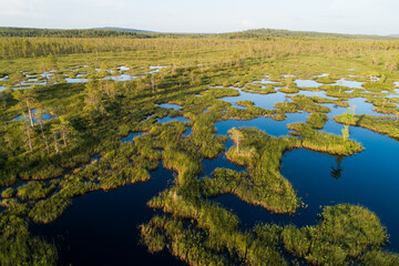 An aerial of a summery wetland with bog ponds near Kemijärvi, Northern Finland