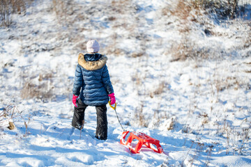  dziewczynka na sankach zabawa na śniegu zimą - obrazy, fototapety, plakaty
