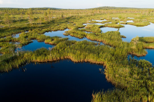 An aerial of a summery wetland with bog ponds near Kemijärvi, Northern Finland