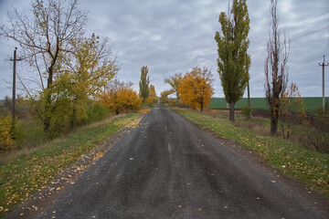 A country road leading to the horizon on an autumn day