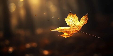 One single falling leaf, carried by the wind, translucent, lit from behind, blurred background