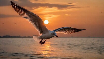 Naklejka premium seagull flying over the sea.a seagull in flight against a sunrise sky, using warm hues to evoke a sense of morning tranquility and the bird's graceful journey through the dawn.