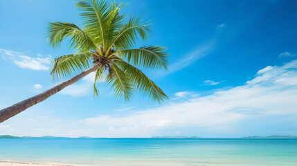 Fototapeta na wymiar tropical paradise: palm tree by the sea - coastline with single palm growing towards the sea behind a beautiful blue ocean and sky
