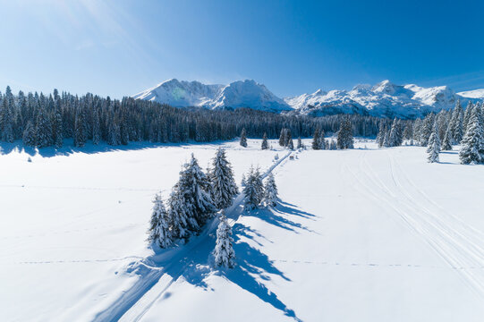 view of winter nature near the town of Zabljak