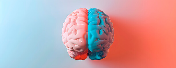 Brain hemispheres in two colors. Space for text. - obrazy, fototapety, plakaty