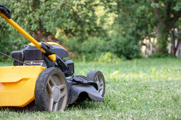 Fototapeta premium Yellow lawnmower on cut grass`