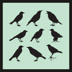 Crow bird silhouette set