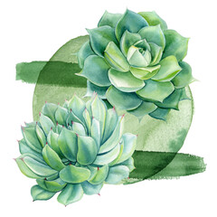 Succulent bouquet, plant watercolor painting illustrations isolated, green modern abstract composition. poster design