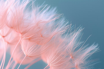 Soft White Fluff: A Delicate Dandelion Seed Blowing in the Summer Breeze, Against a Colorful Floral Background