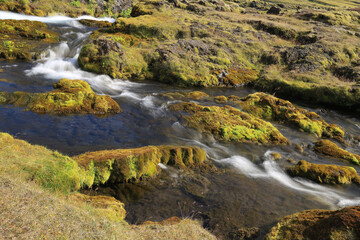 small creek in the mossy landscape of iceland