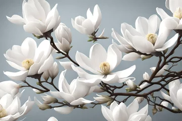 Fotobehang white magnolia flowers © sumaira