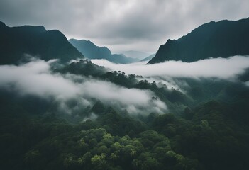 Foggy landscape in the jungle Fog and cloud mountain tropic valley landscape aerial view