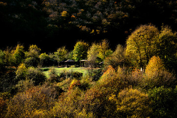 autumn in the mountains