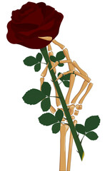 Skeleton hand holding red rose flower vector illustration