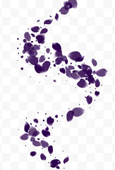 Yellow Blossom Flying Vector White Transparent