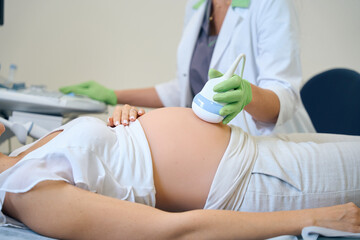 Obraz premium Female gynecologist doing ultrasound examination of pregnant female patient