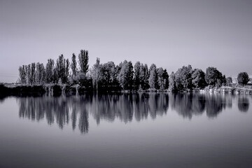 misty morning on the river