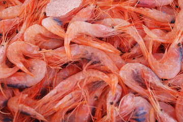 Shrimps at the local fish market Vucciria in Palermo, Italy	